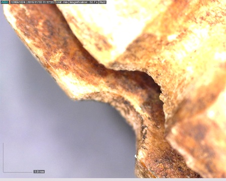 Figure 6: Harpoon head (SiFi 4:92) with likely iron oxide stains on blade bed.
