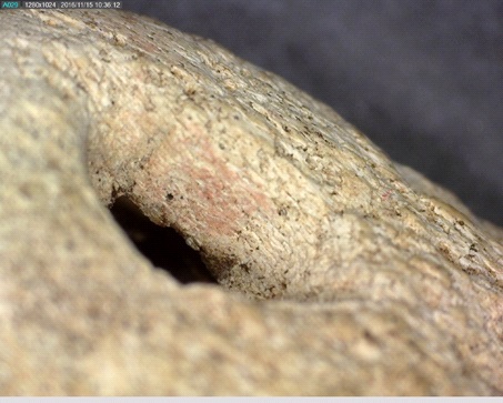 Figure 7: Securing hole of a harpoon head (SgFm3:349) with potential red ochre residue not identifiable with the naked eye.
