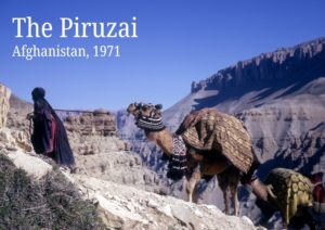 Exhibition cover image