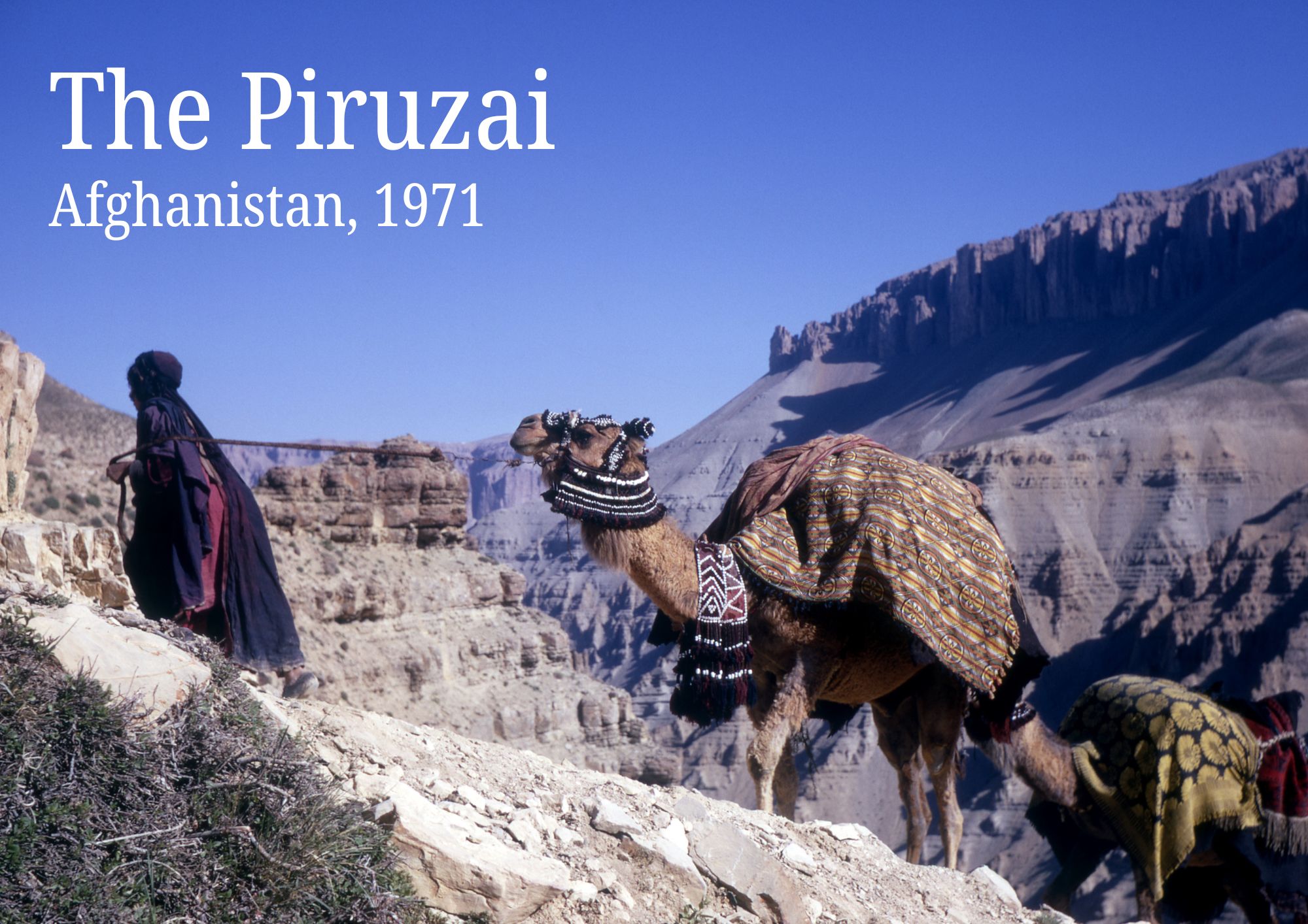 Exhibition cover image